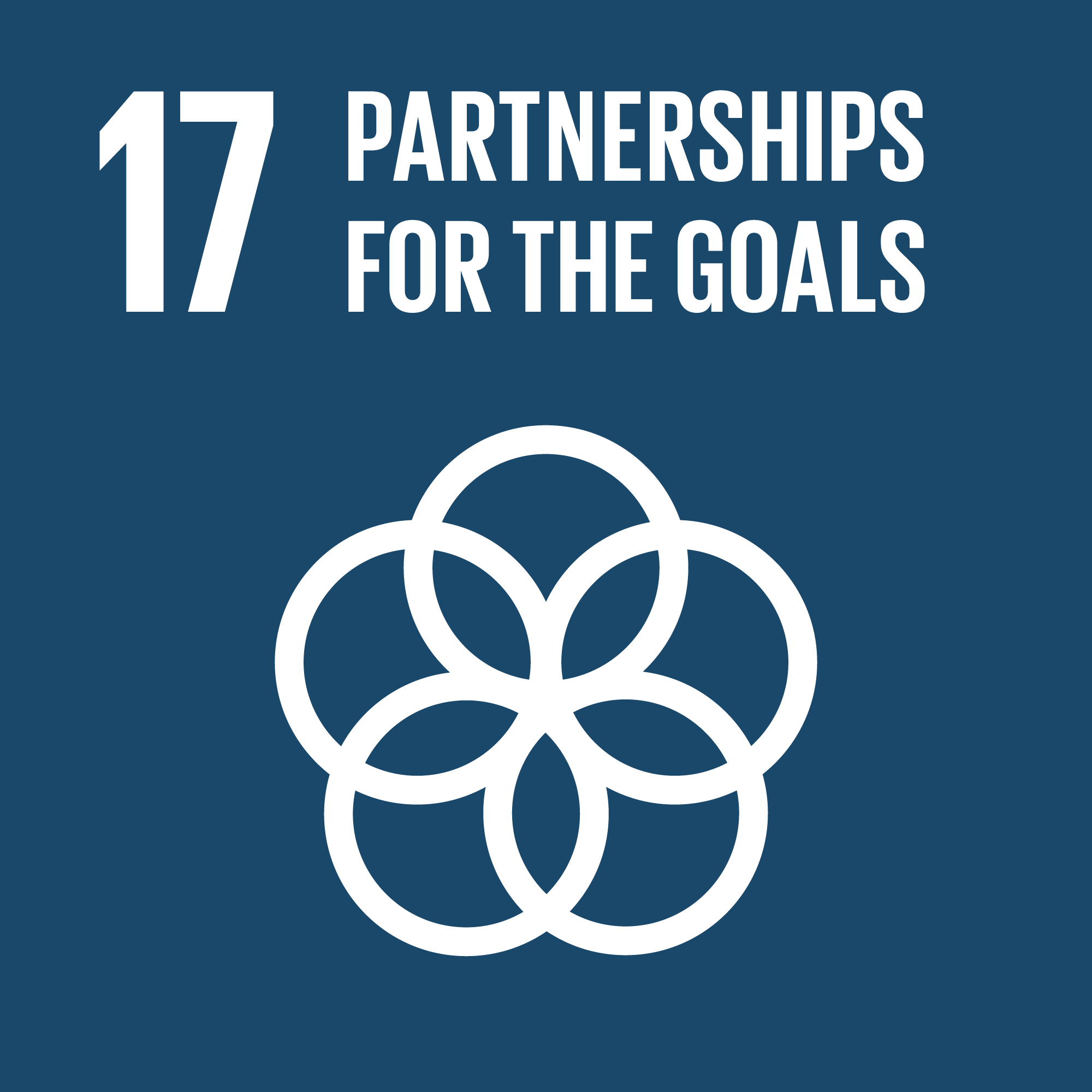Sustainable Development Goal 17